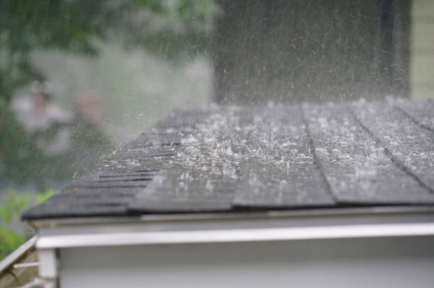 Best Commercial Roofing Services  in Zebulon, GA